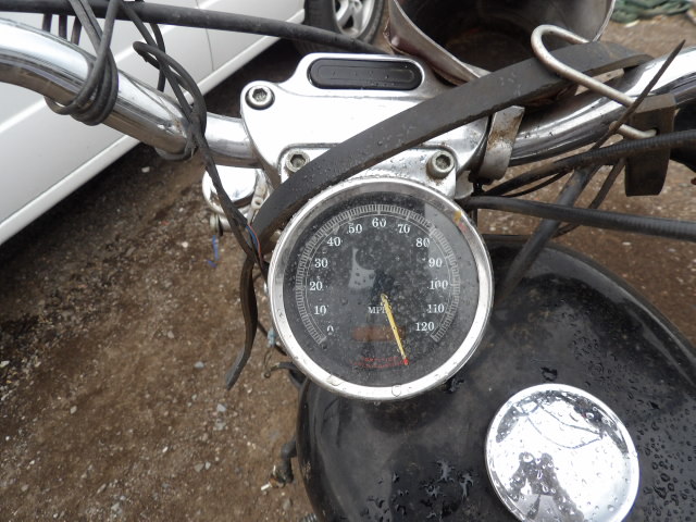 2001 Harley Sportster